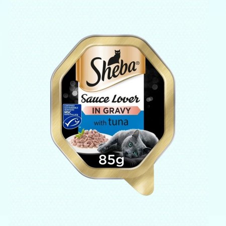 أكل قطط شيبا